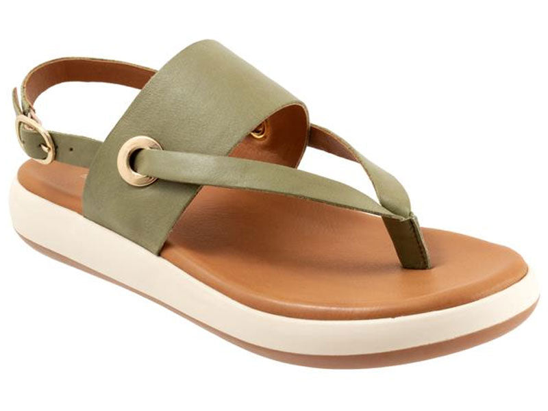 Softwalk Joliet - Women's Sandal Olive (340)