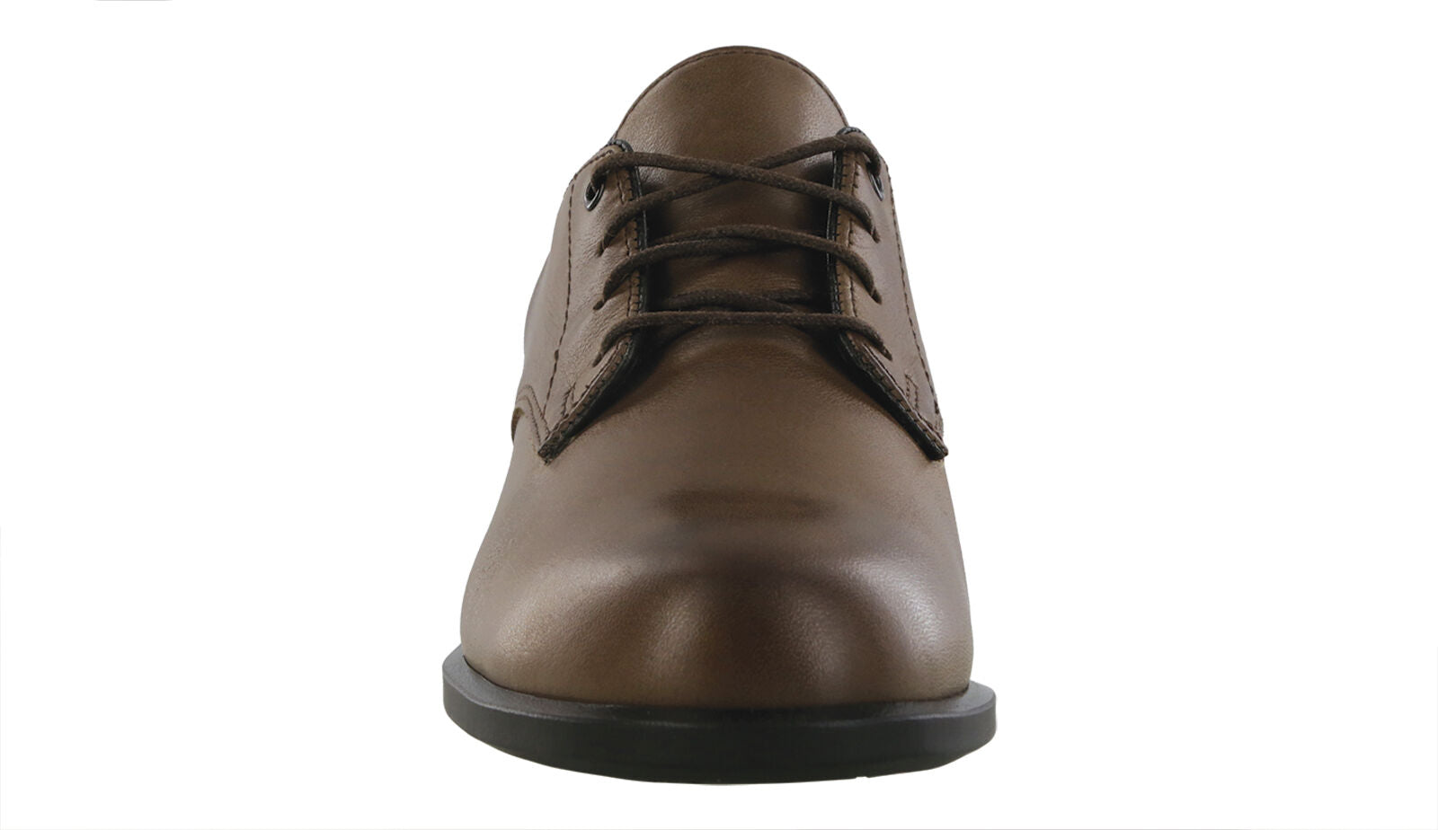 SAS Annex Darkwood
