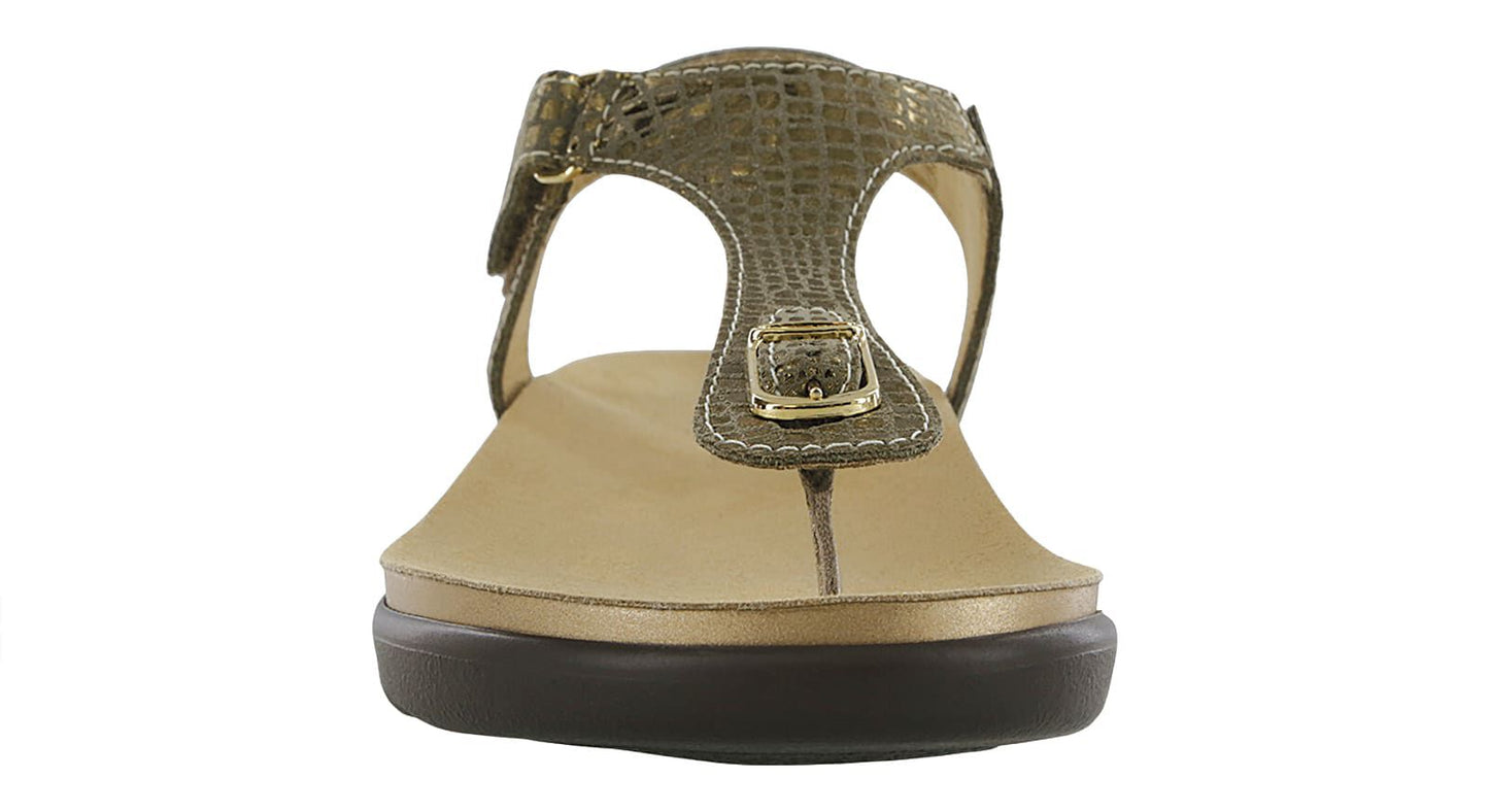 SAS Marina Olive Gold