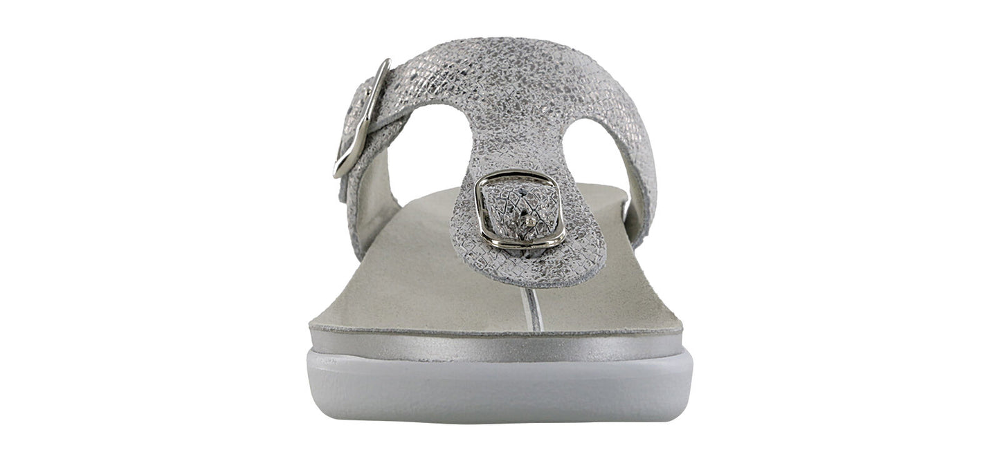 SAS Sanibel Plata