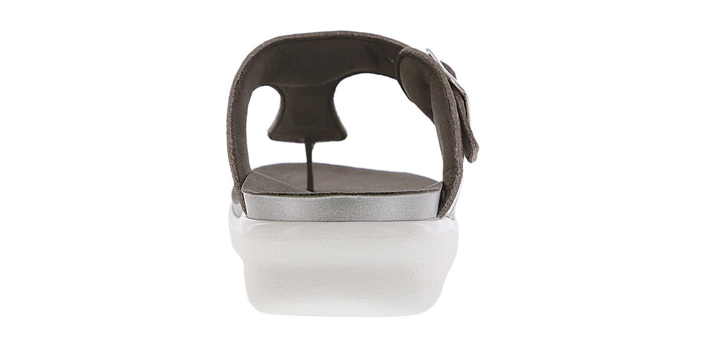 SAS Sanibel Wisteria