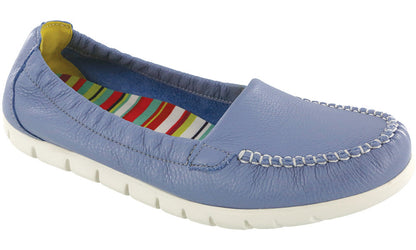 SAS Periwinkle