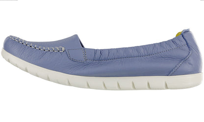 SAS Periwinkle